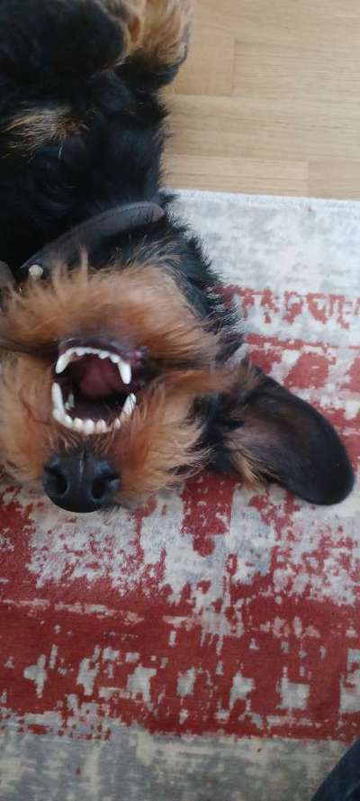 Handy-foto Challange nr. 11-Beitrag-Bild