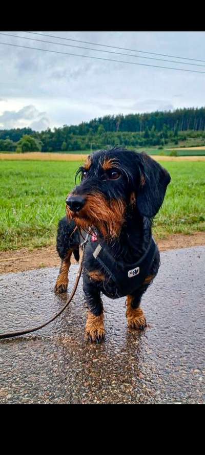 Handy-Foto-Challange Nr.9-Beitrag-Bild