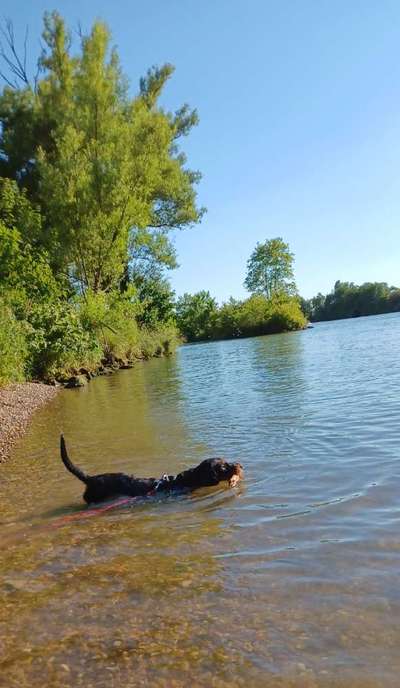 Eure Strandbilder :)-Beitrag-Bild