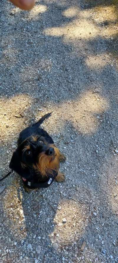 Handy-Foto Challange Nr. 10-Beitrag-Bild