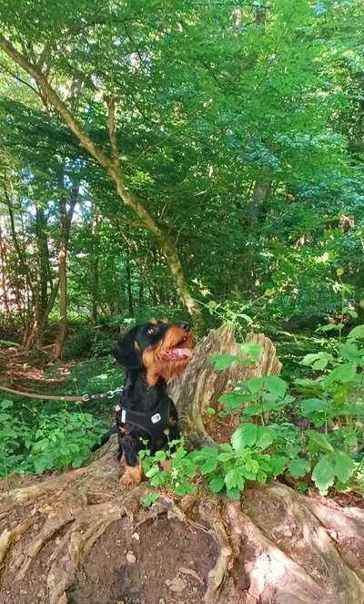 Foto-Challange No.1 - Alles aber nicht die Kamera-Beitrag-Bild