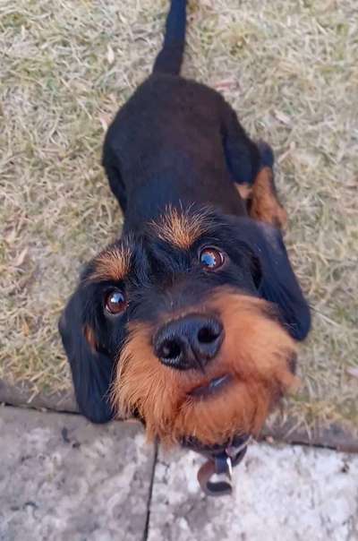 FOTOCHALLENGE 86-Beitrag-Bild