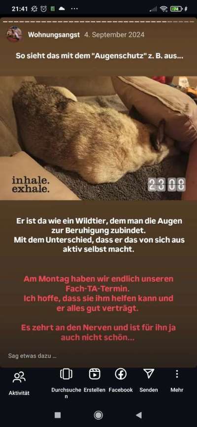 Problem mit Schatten- / Lichtveränderungen in der Whg.-Beitrag-Bild