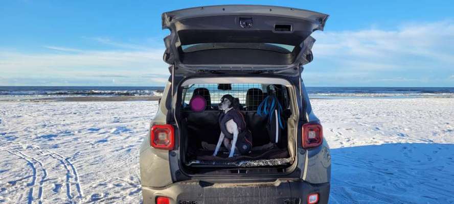 117. Fotochallenge-Beitrag-Bild