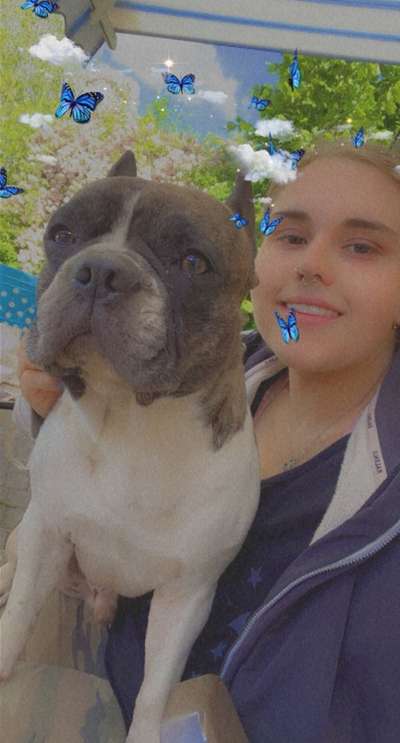 Wer hat noch alles einen Französischen Bulldoggen Mix ???-Beitrag-Bild