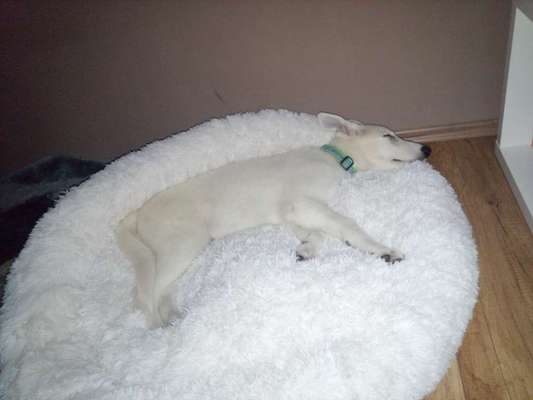 Erfahrung mit Wolkenbett-Beitrag-Bild