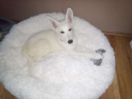 Erfahrung mit Wolkenbett-Beitrag-Bild