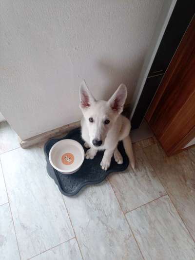 147. Foto Challenge: Bettelblick-Beitrag-Bild