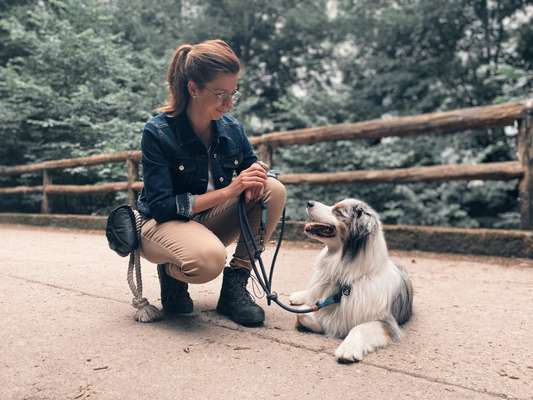 Hundetreffen-Biete Gassi-Service (dogspure.de)-Bild