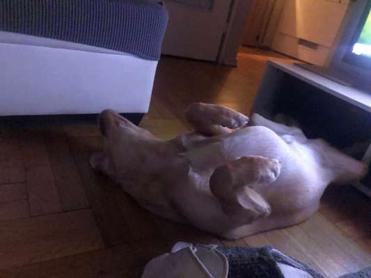 Die unbequemsten und lustigsten Schlafpositionen-Beitrag-Bild