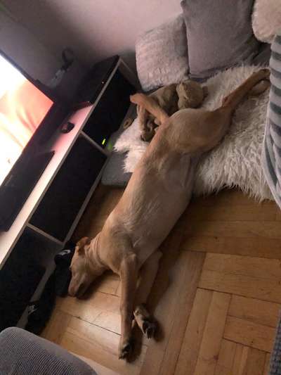 Die unbequemsten und lustigsten Schlafpositionen-Beitrag-Bild