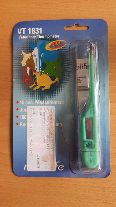 Fieberthermometer-Beitrag-Bild