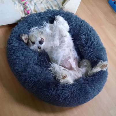 42. Collage Challenge - Ruheplatz-Beitrag-Bild