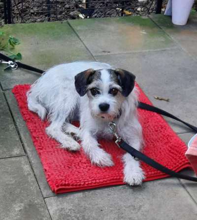 42. Collage Challenge - Ruheplatz-Beitrag-Bild