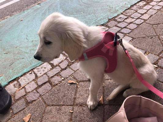 Sie werden so schnell erwachsen ...-Beitrag-Bild