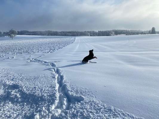 Challenge Nr. 15
Spiel im Schnee-Beitrag-Bild