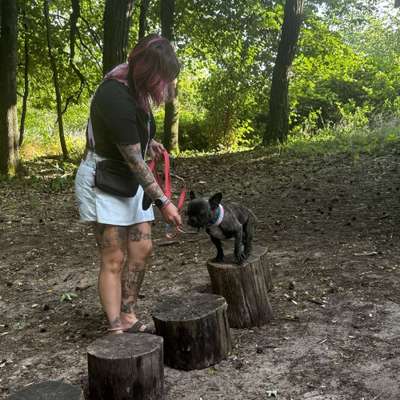 Giftköder-Einzeltraining-Bild