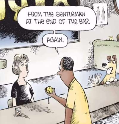 Hunde Memes-Beitrag-Bild