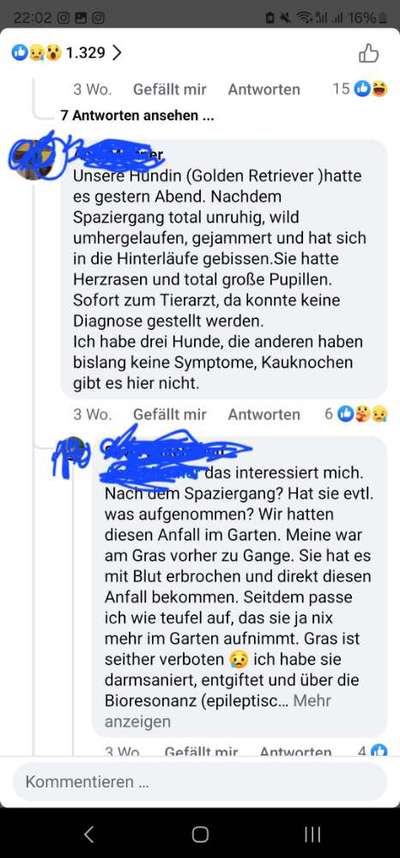„Werwolfsyndrom“ bei Hunden – Was ist mit unseren Kauknochen los? 🐺🦴-Beitrag-Bild