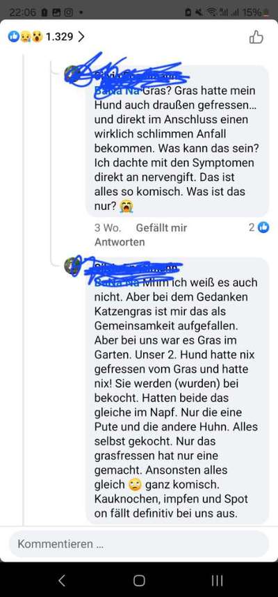 „Werwolfsyndrom“ bei Hunden – Was ist mit unseren Kauknochen los? 🐺🦴-Beitrag-Bild