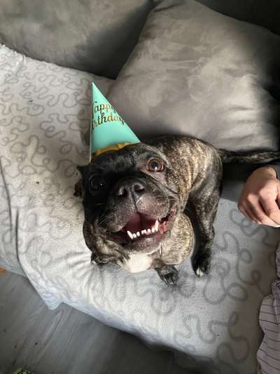 Lieblingsbild :D-Beitrag-Bild