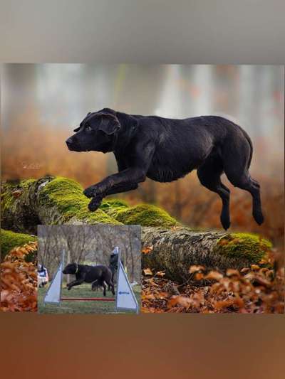 Photoshop und Co.-Beitrag-Bild