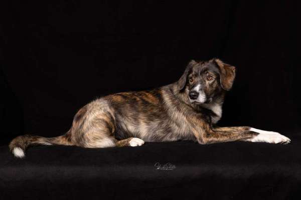 Austausch zur Fotografie-Beitrag-Bild