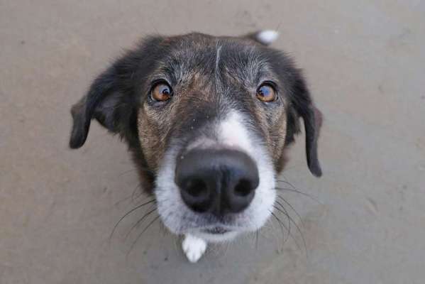 Austausch zur Fotografie-Beitrag-Bild