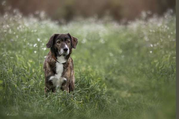 Austausch zur Fotografie-Beitrag-Bild