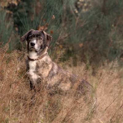 Austausch zur Fotografie-Beitrag-Bild