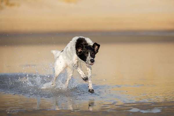 Austausch zur Fotografie-Beitrag-Bild