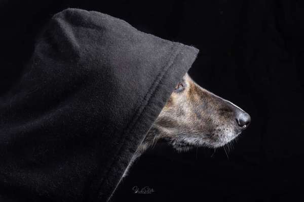 Austausch zur Fotografie-Beitrag-Bild