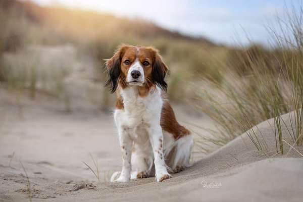 Austausch zur Fotografie-Beitrag-Bild
