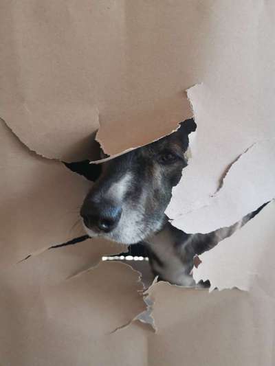 Austausch zur Fotografie-Beitrag-Bild