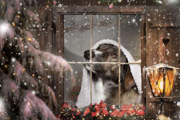 Photoshop und Co.-Beitrag-Bild