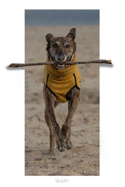 Austausch zur Fotografie-Beitrag-Bild