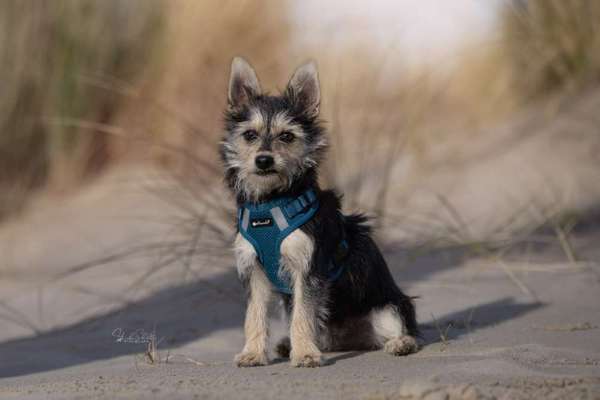 Austausch zur Fotografie-Beitrag-Bild