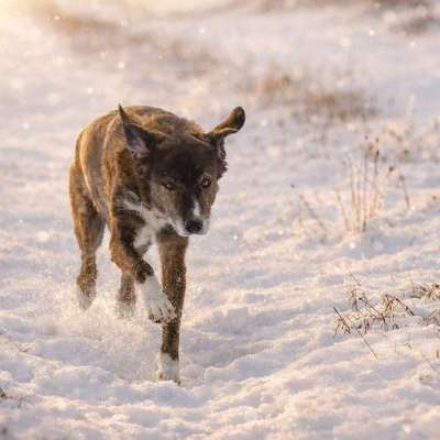 Austausch zur Fotografie-Beitrag-Bild