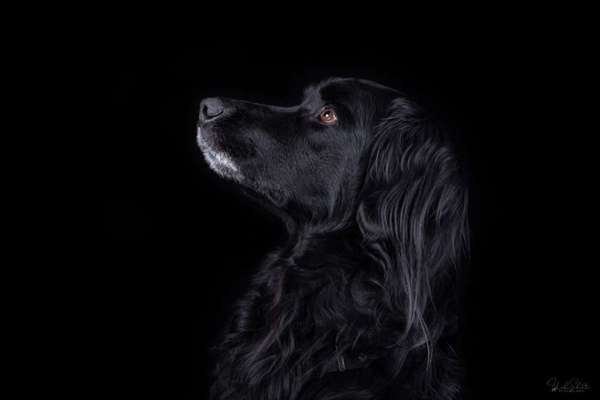 Austausch zur Fotografie-Beitrag-Bild