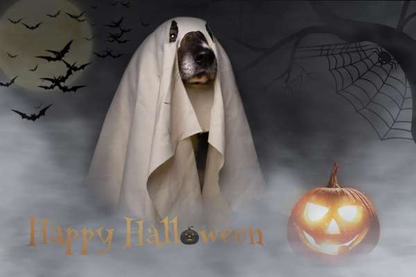 Photoshop und Co.-Beitrag-Bild