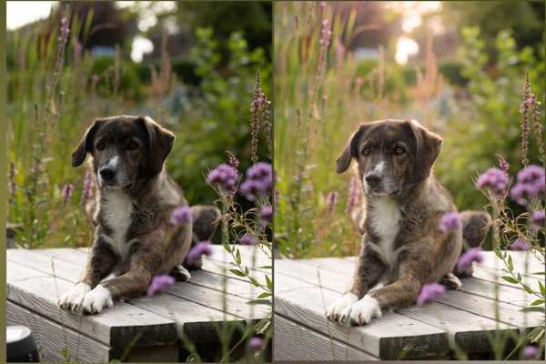 Austausch zur Fotografie-Beitrag-Bild