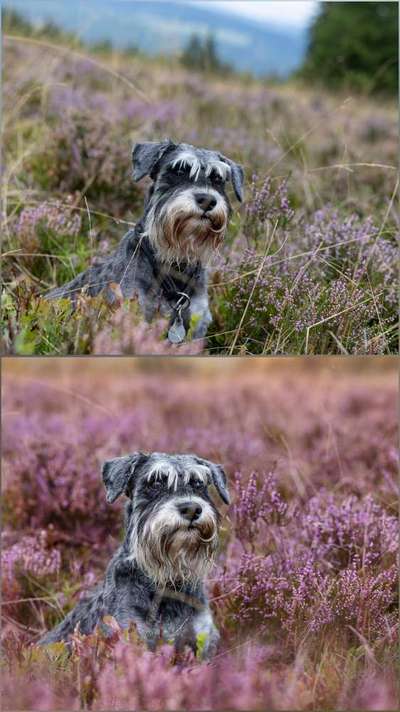 Austausch zur Fotografie-Beitrag-Bild