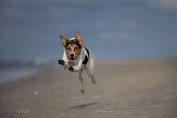 Austausch zur Fotografie-Beitrag-Bild