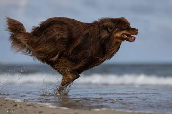 Austausch zur Fotografie-Beitrag-Bild