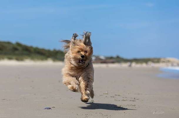 Austausch zur Fotografie-Beitrag-Bild