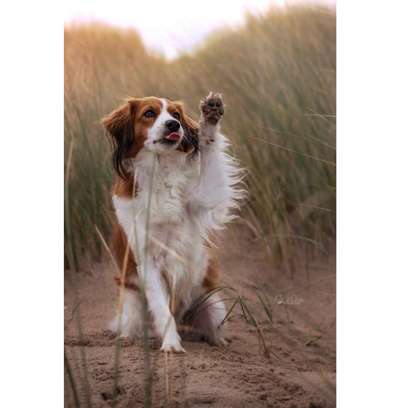 Austausch zur Fotografie-Beitrag-Bild