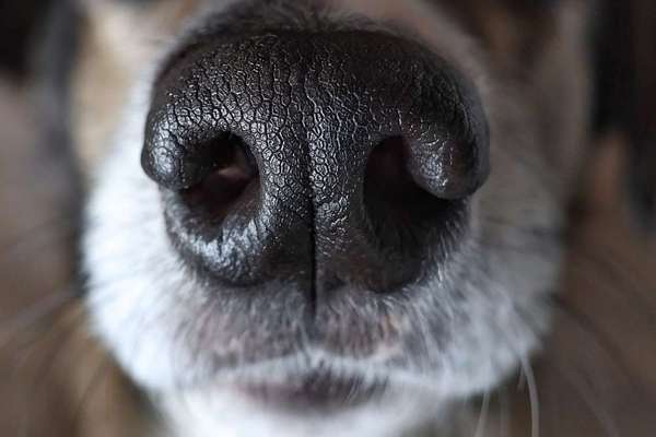 Austausch zur Fotografie-Beitrag-Bild