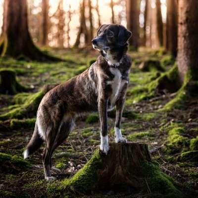 Austausch zur Fotografie-Beitrag-Bild