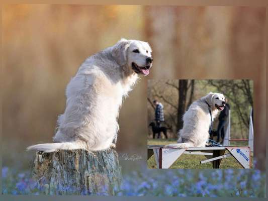 Photoshop und Co.-Beitrag-Bild