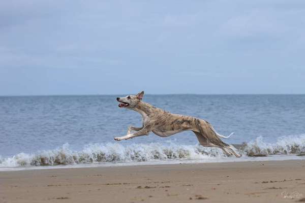 Austausch zur Fotografie-Beitrag-Bild